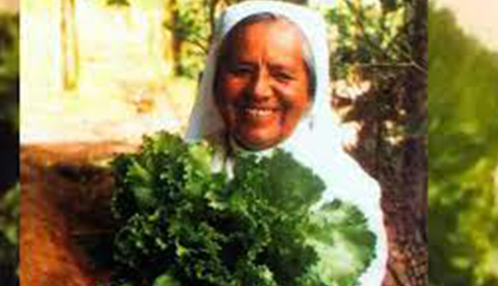 Foto de Irmã da Congregação Nossa Senhora da Caridade do Bom Pastor foi beatificada
